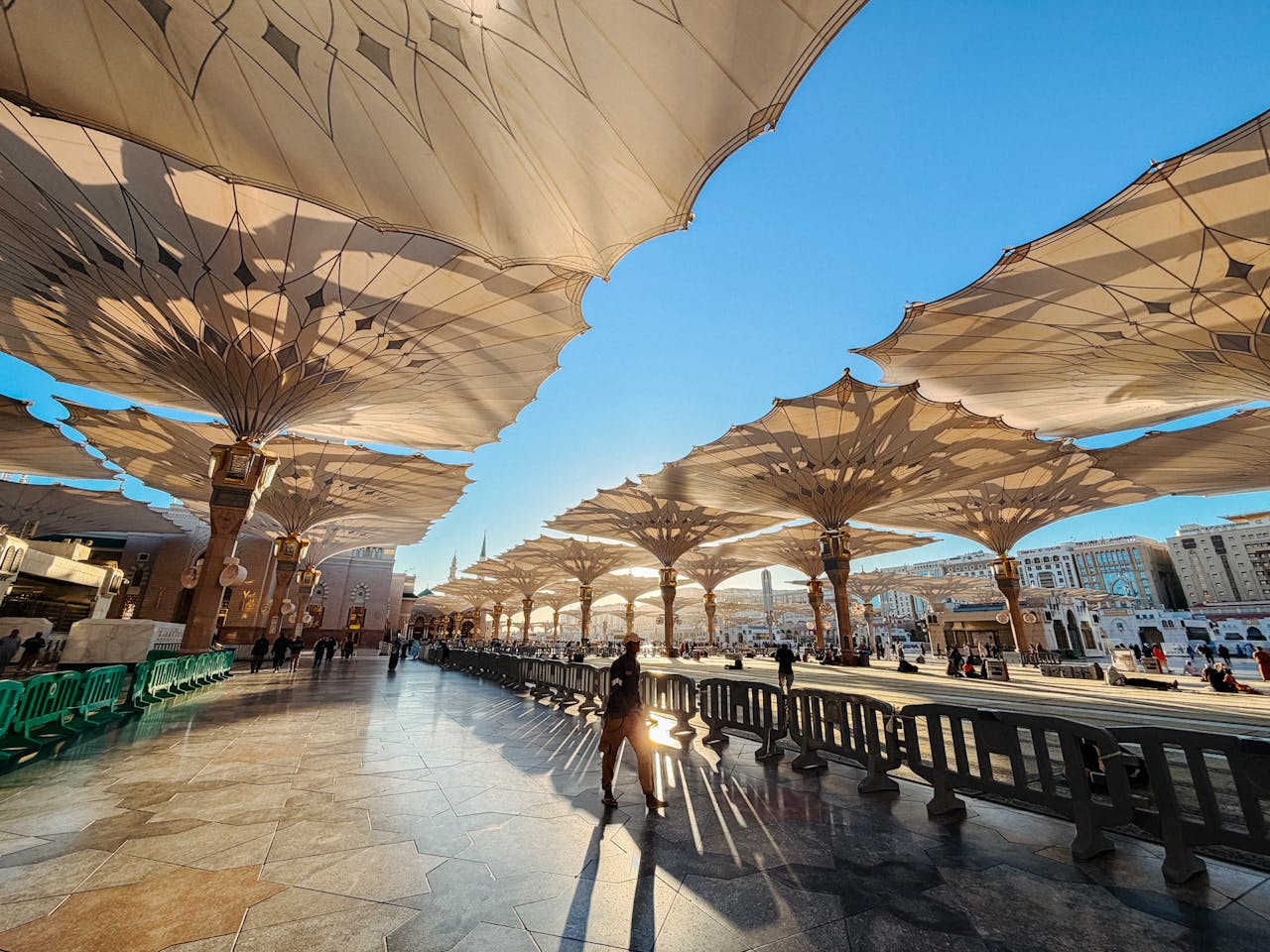 Турпоток из Саудовской Аравии в Россию вырастет в 3 раза: прогноз АТОР