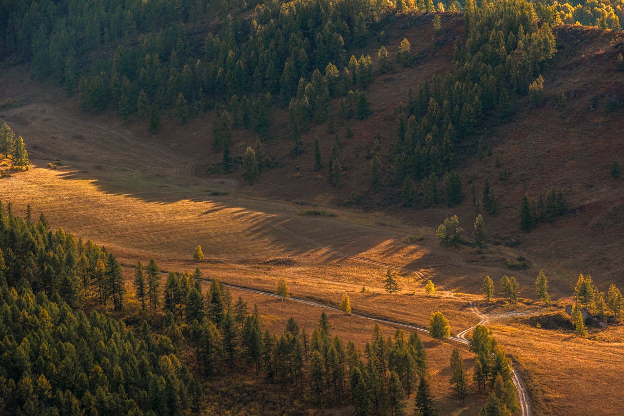 Зимний отдых в Горном Алтае: гайд по лучшим локациям и активностям