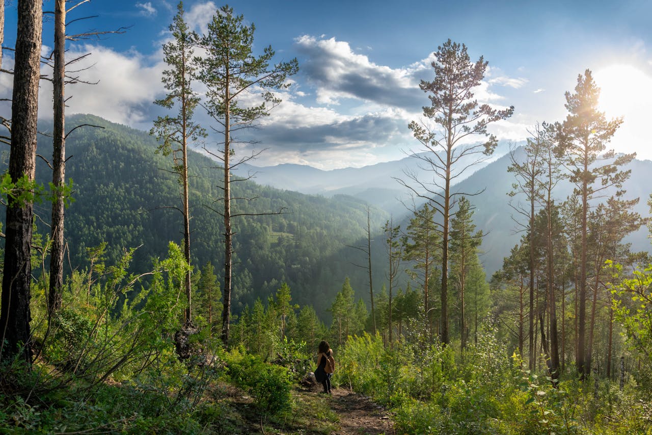 Цветение Алтая: Как увидеть все времена года за одну неделю — полный путеводитель для путешестве
