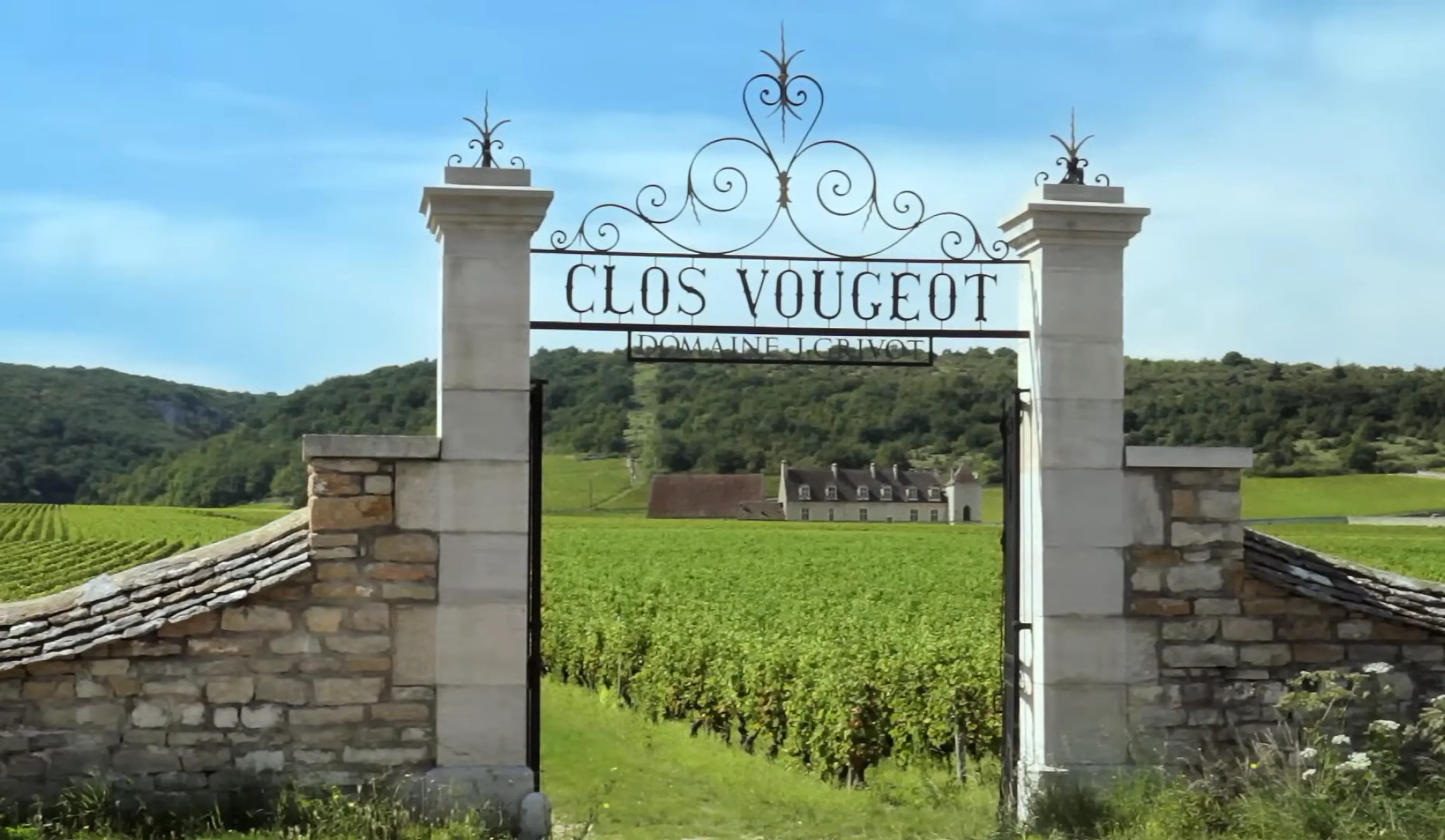 Вино, земля и страсть. Как провести незабываемый год в самом сердце Бургундии.